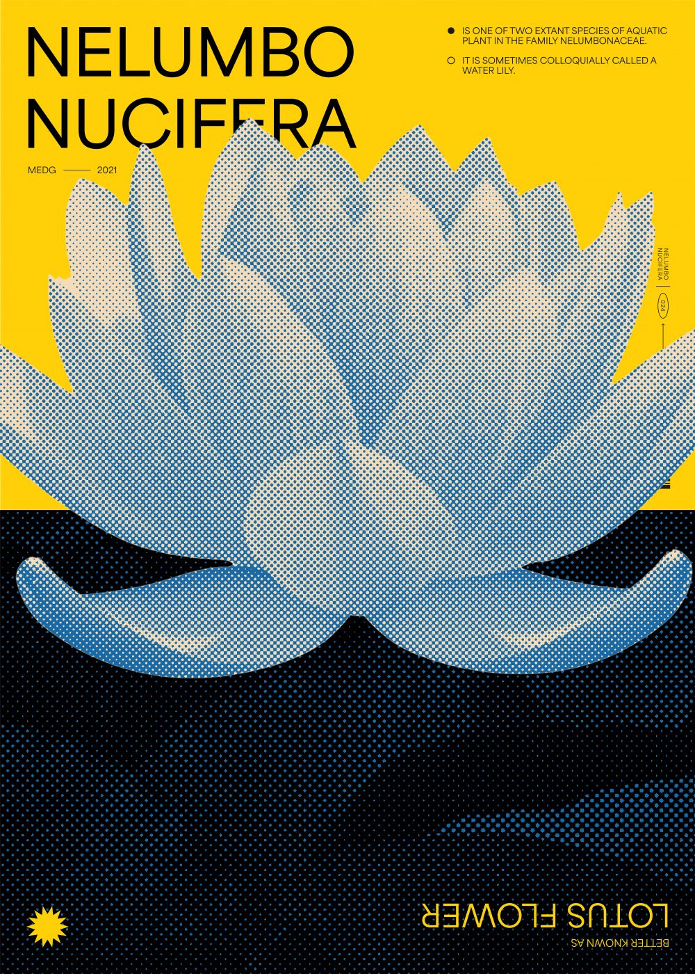 Lotus