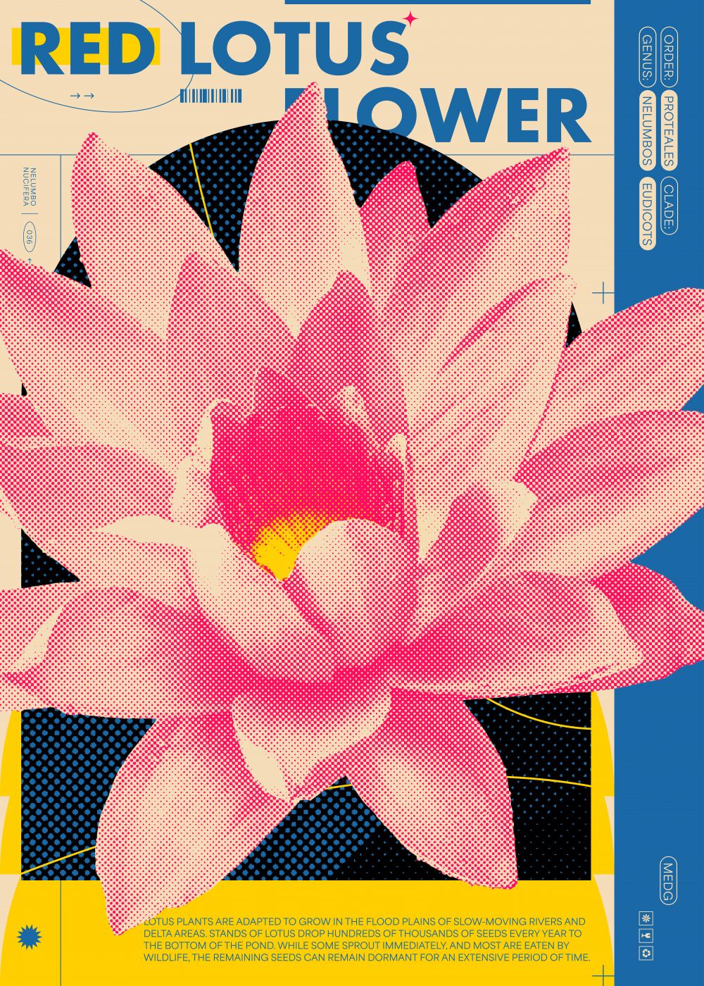 Red Lotus