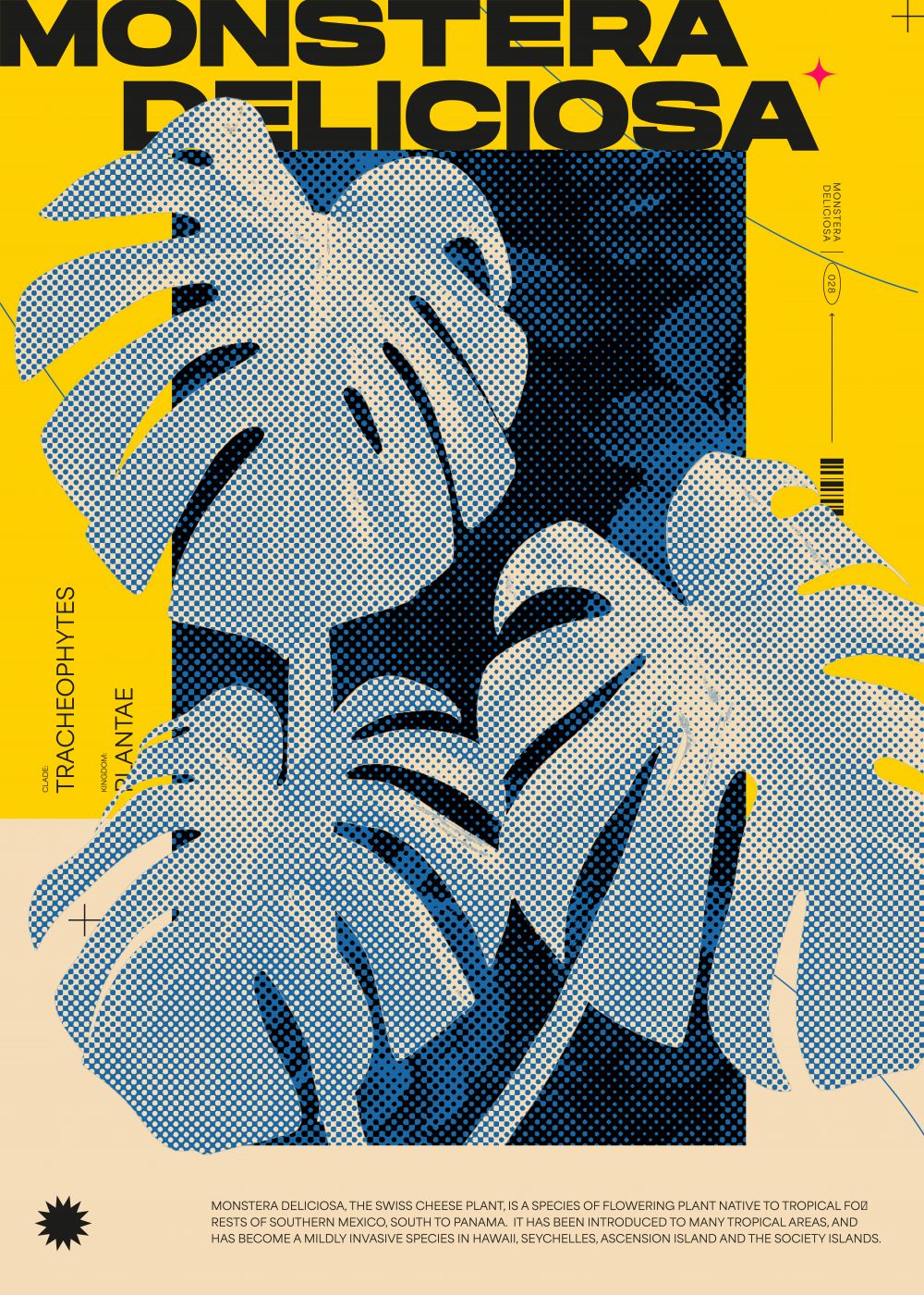Monstera Deliciosa