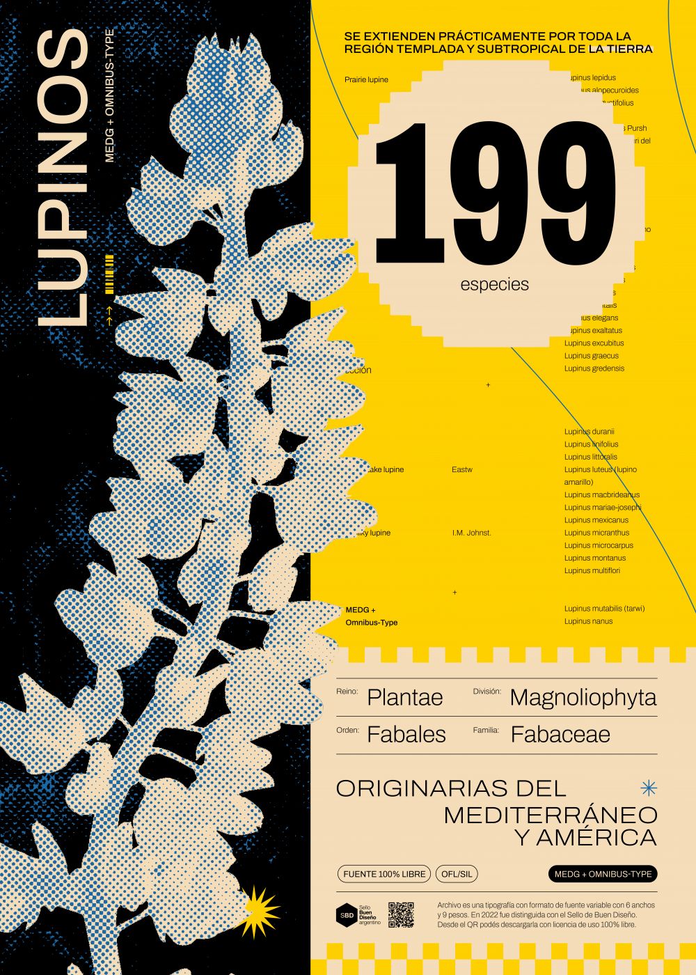 Lupinos