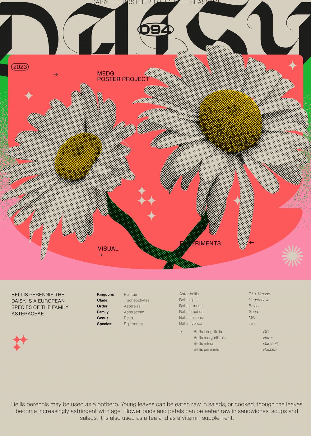 Daisy