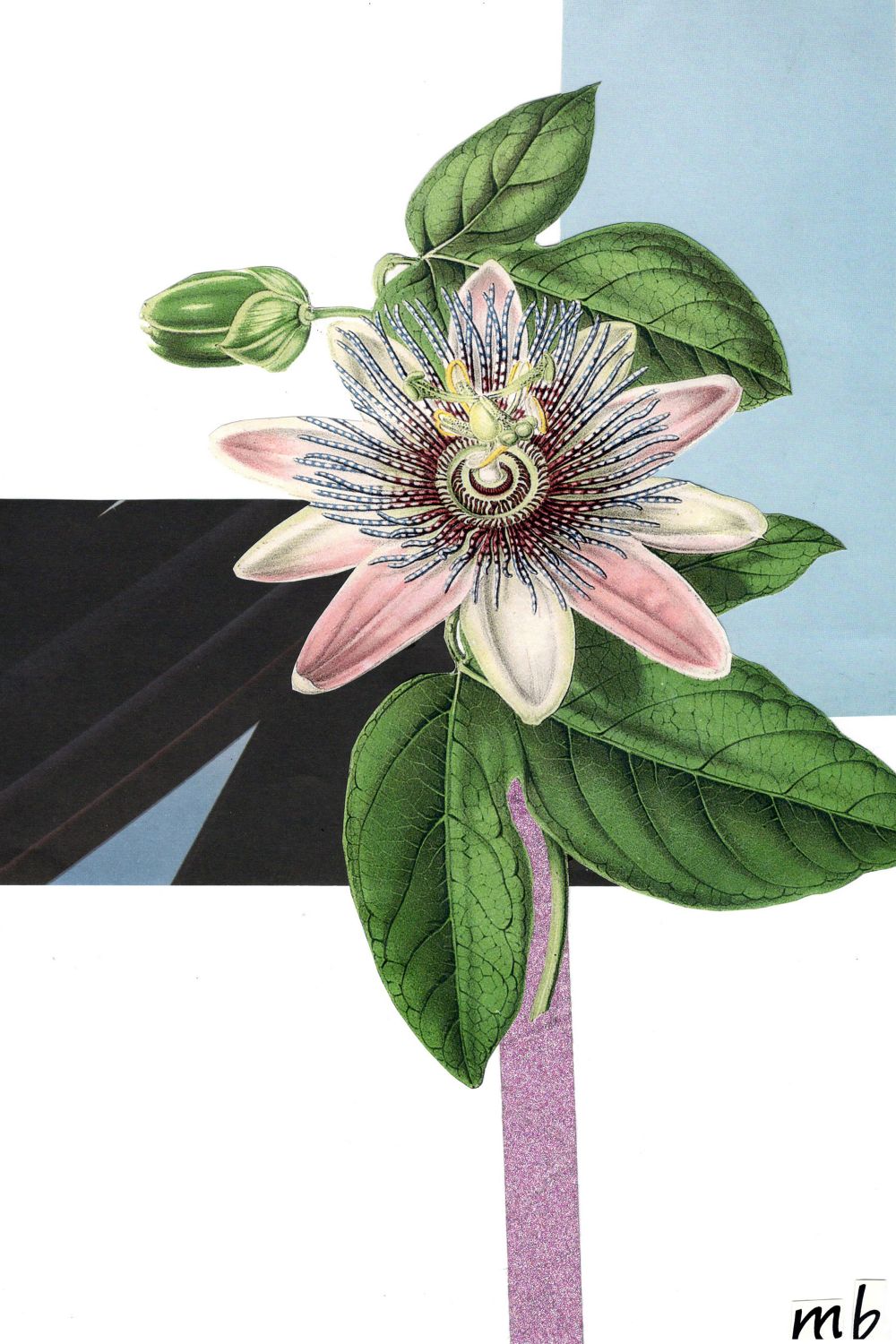 Obra “Serie botánico3”