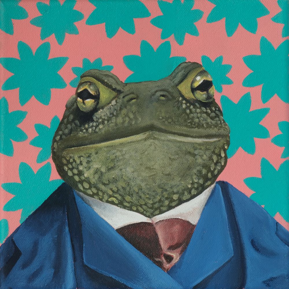 Mr. Ropucha (el sr. Sapo)