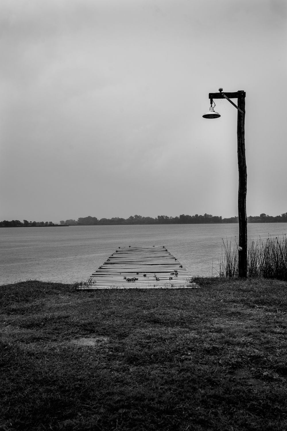 Muelle uno