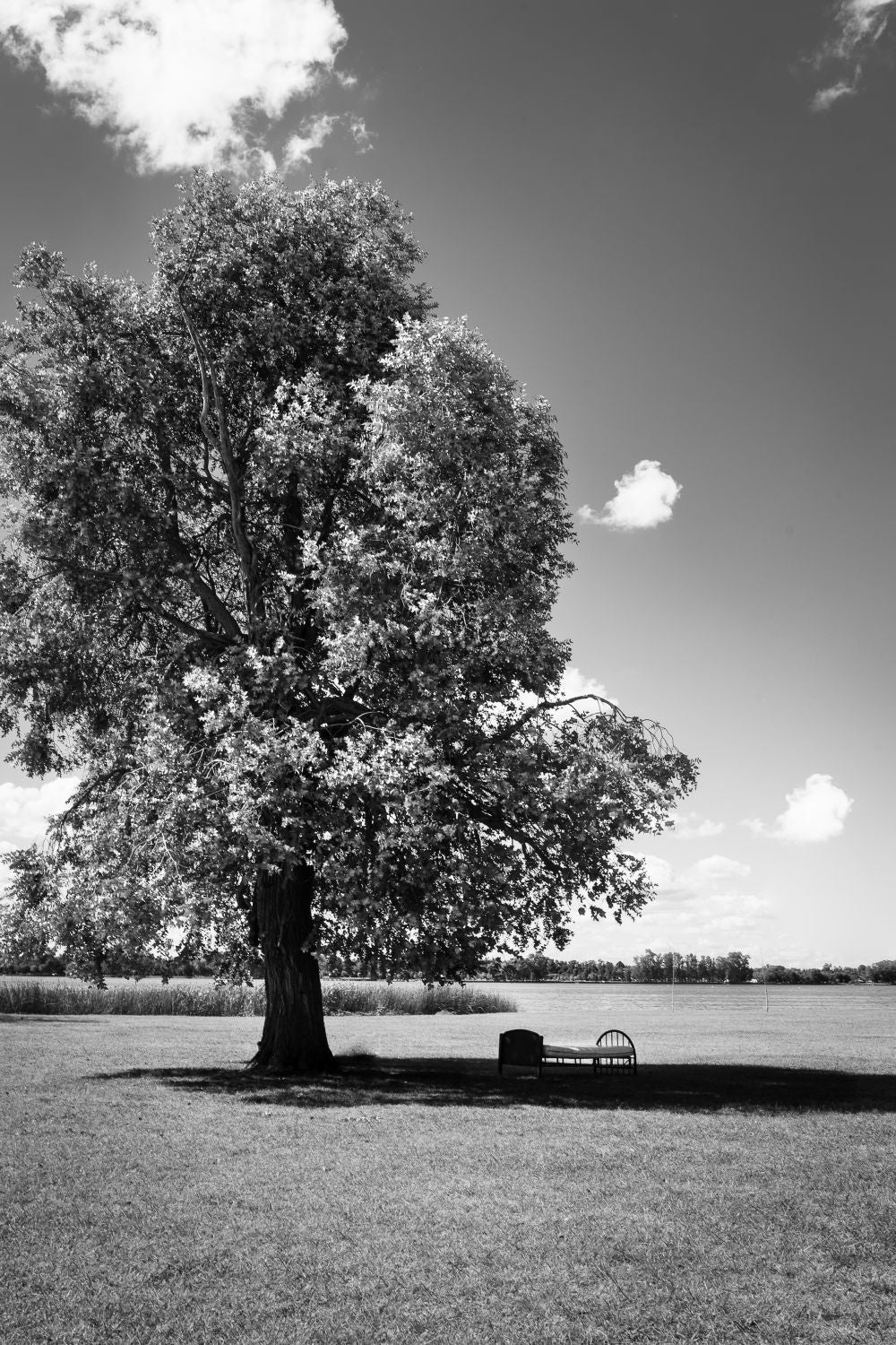 Descanso