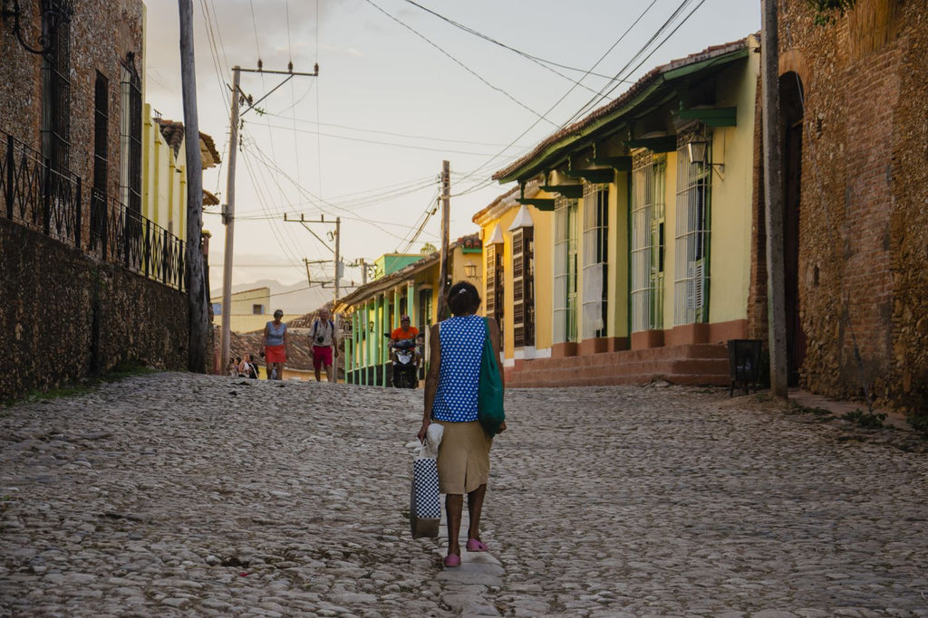 El camino, la respuesta