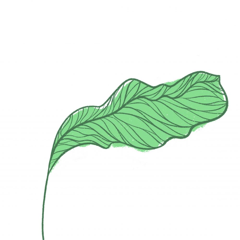 Botanic