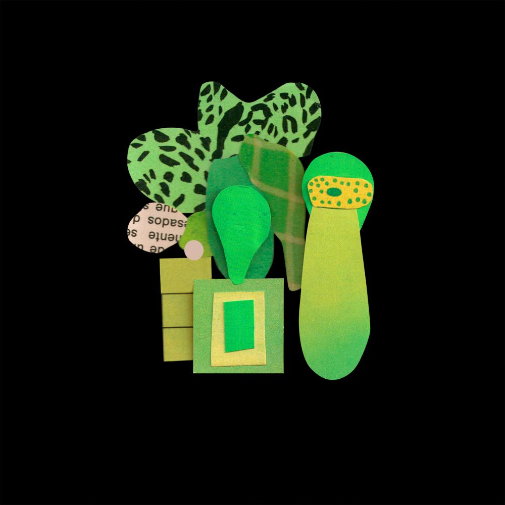 Jardin #001