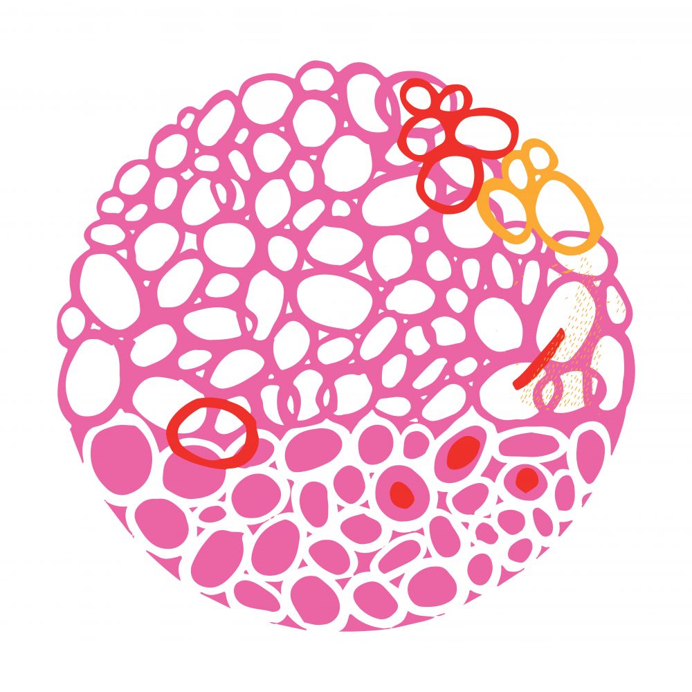 STONE CIRCLE MAGENTA