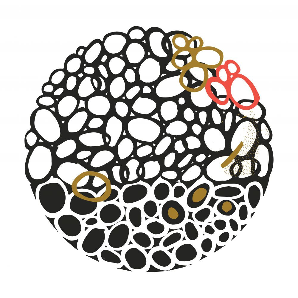 STONE CIRCLE - NEGRO Y ORO