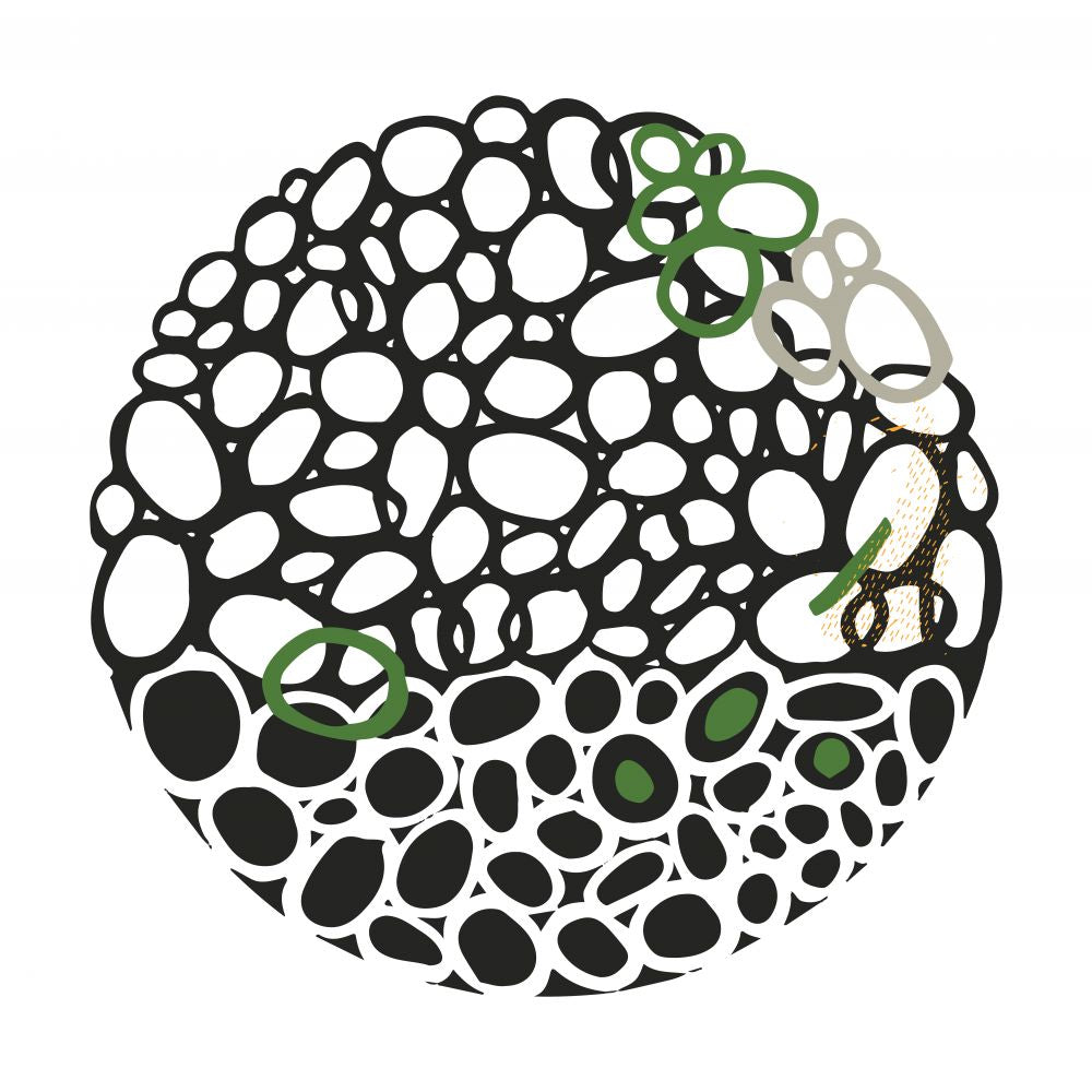 STONE CIRCLE - NEGRO Y VERDE