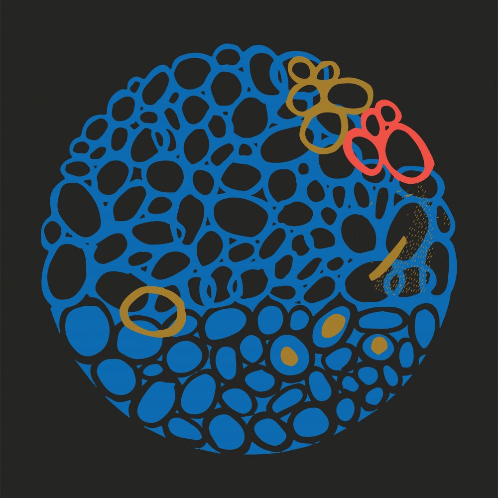 STONE CIRCLE - NEGRO Y AZUL