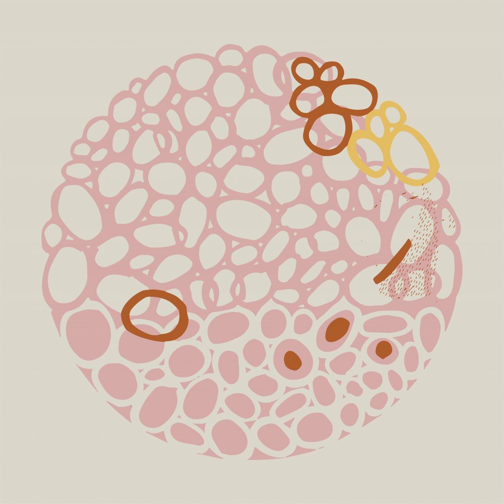 STONE CIRCLE - PALE PINK