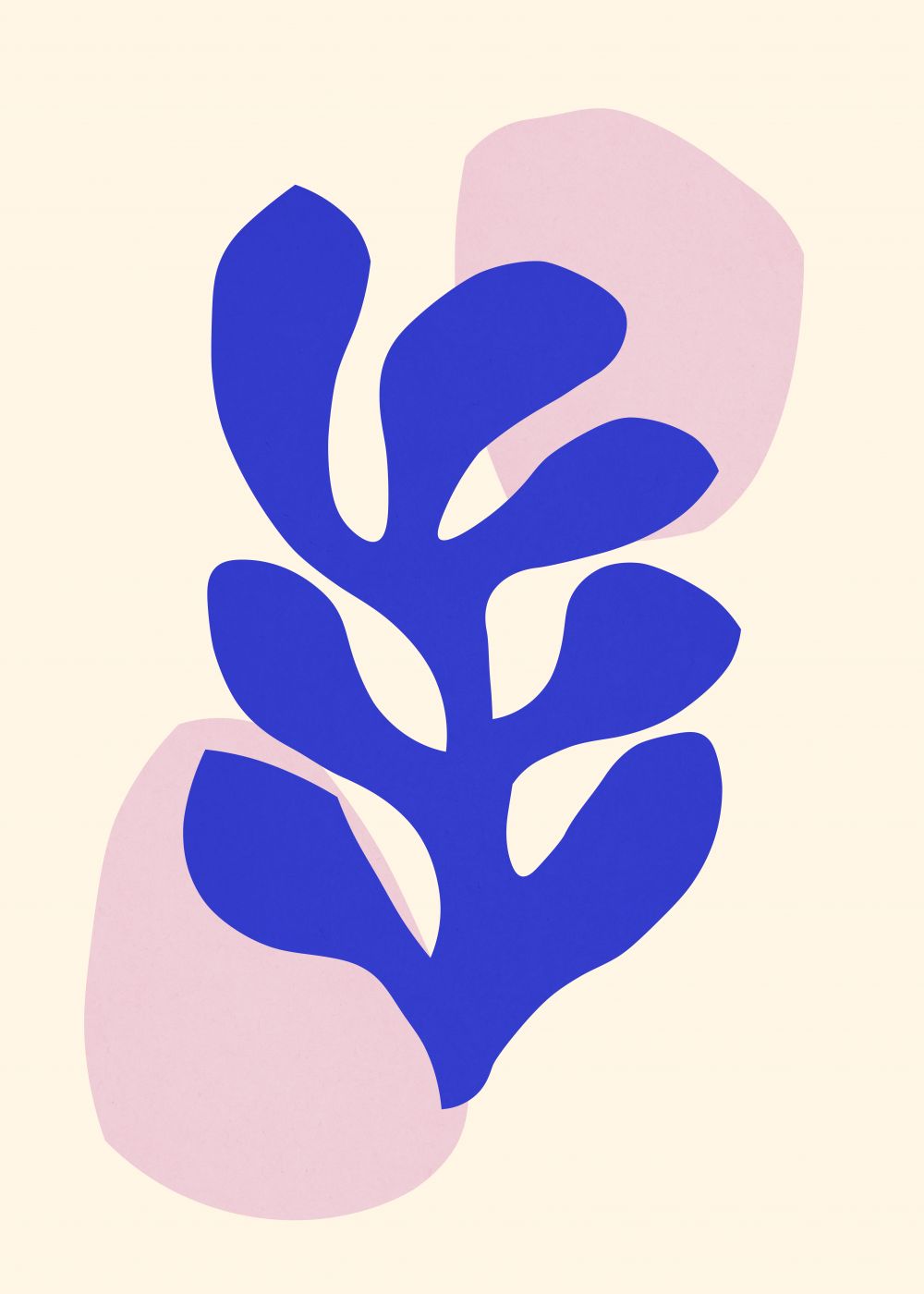 Flores matisse 2