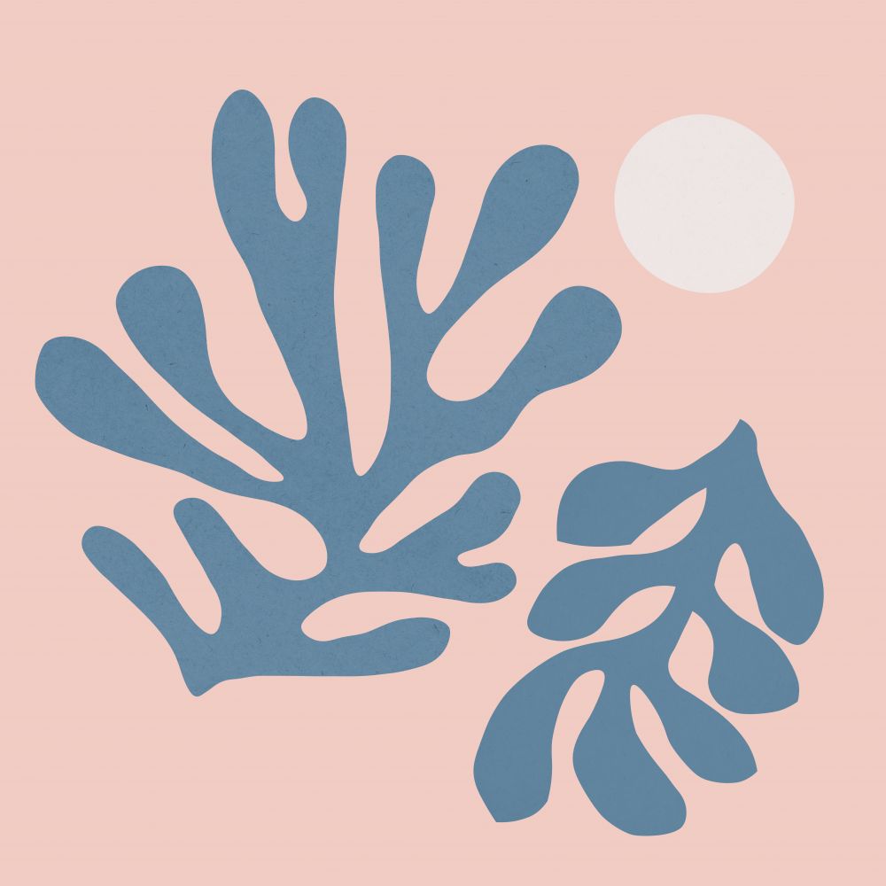 Flores matisse 5