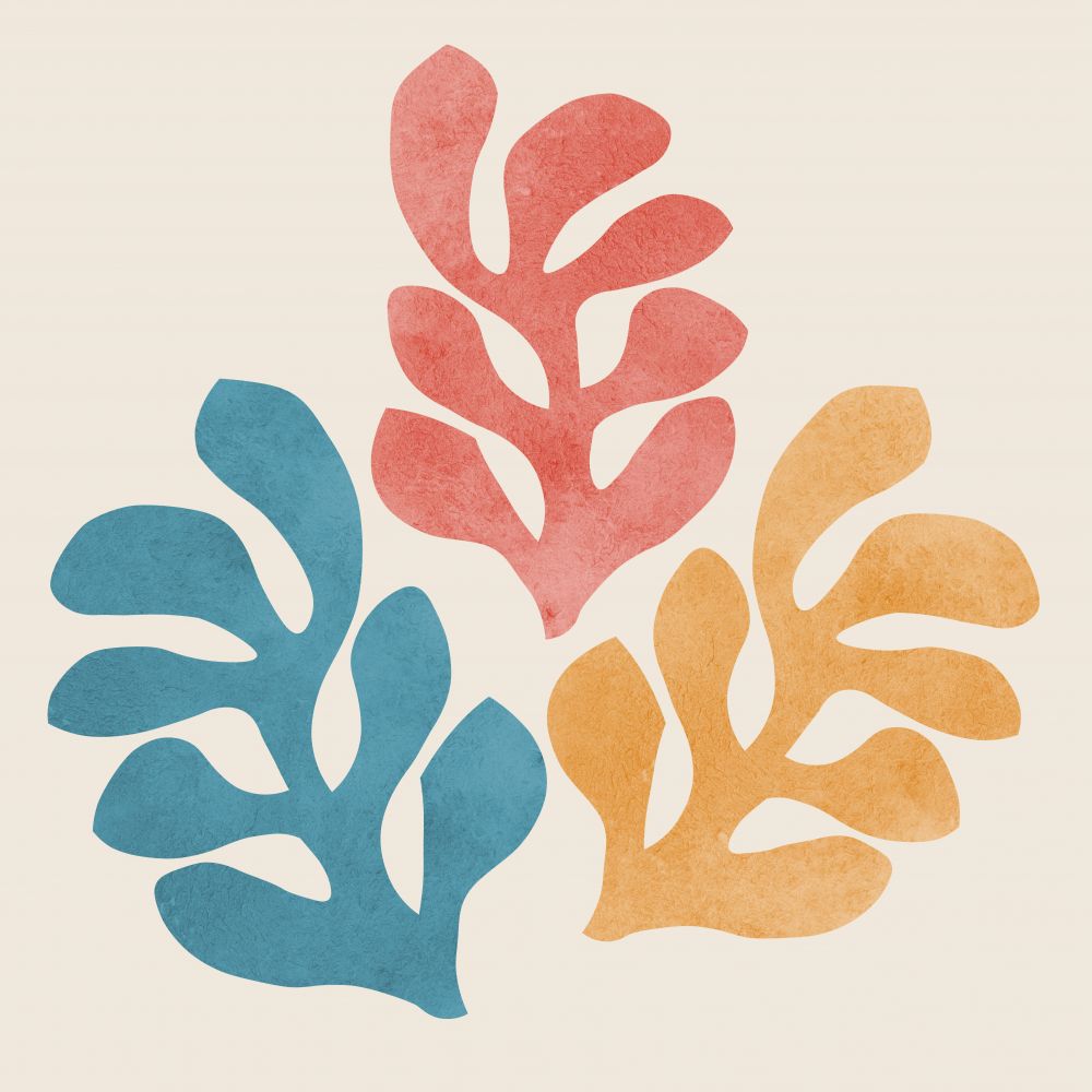 Flores matisse 8