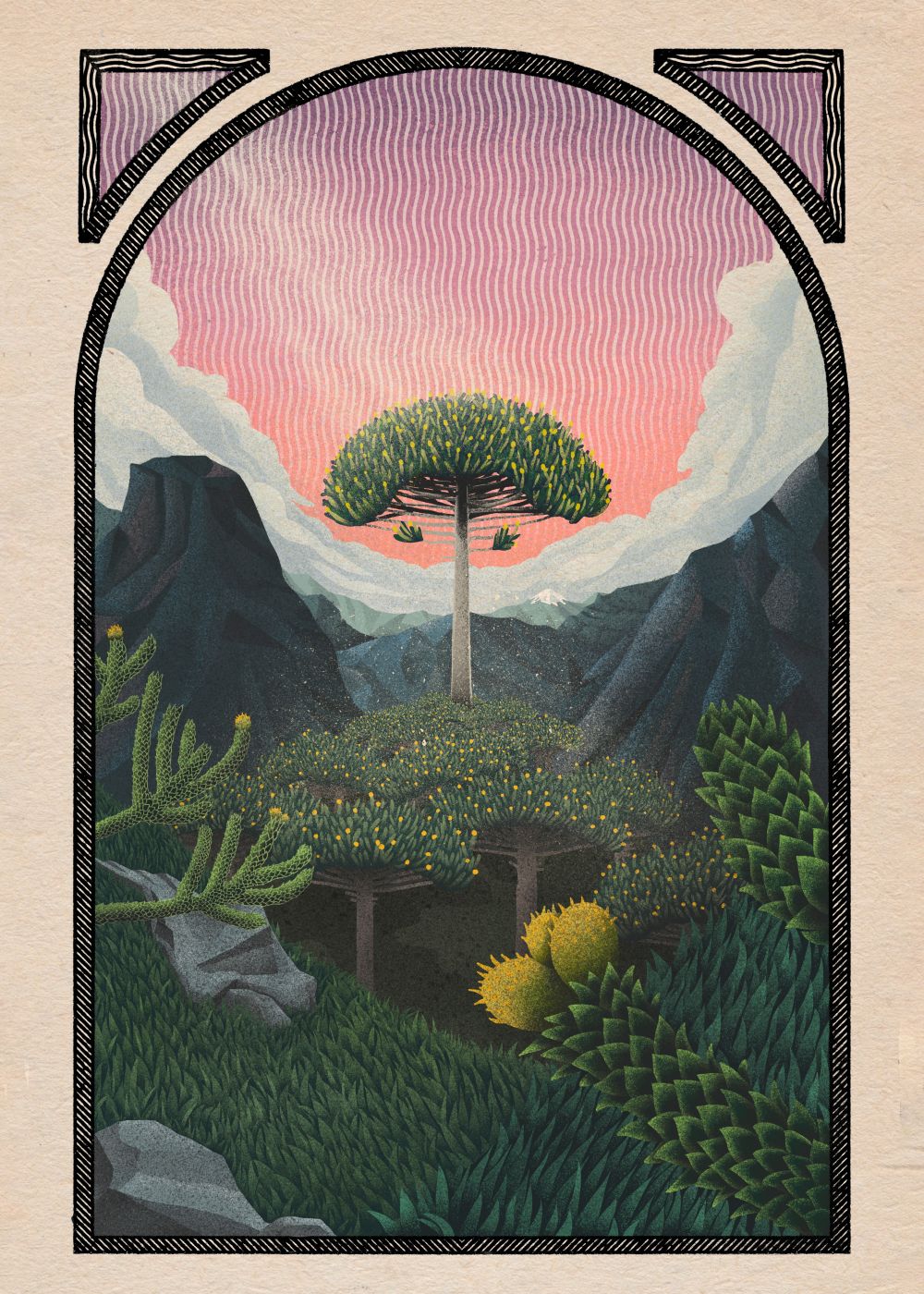 Trees of life - araucaria