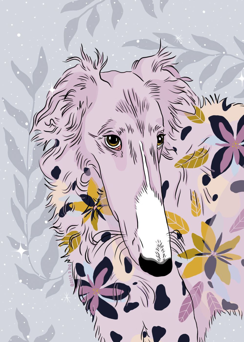 Galgos Mágicos