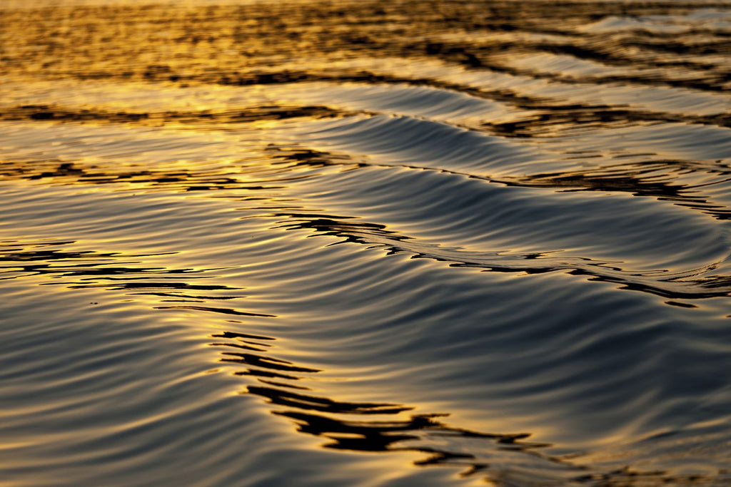 Oro liquido