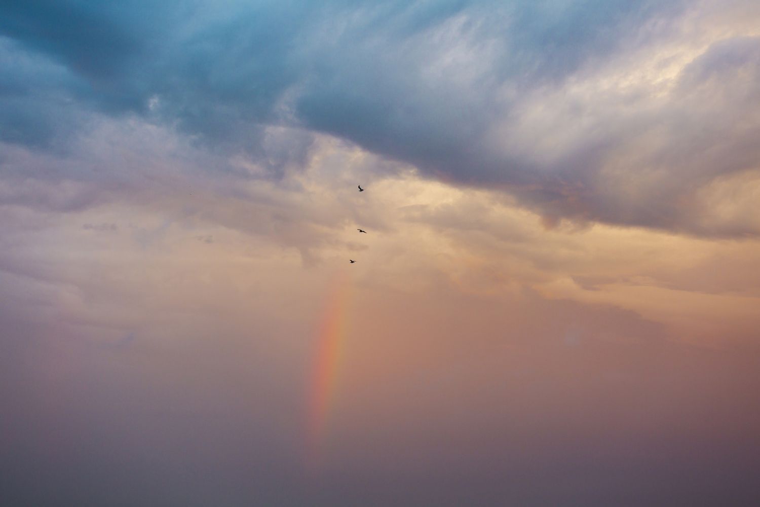 Arco iris