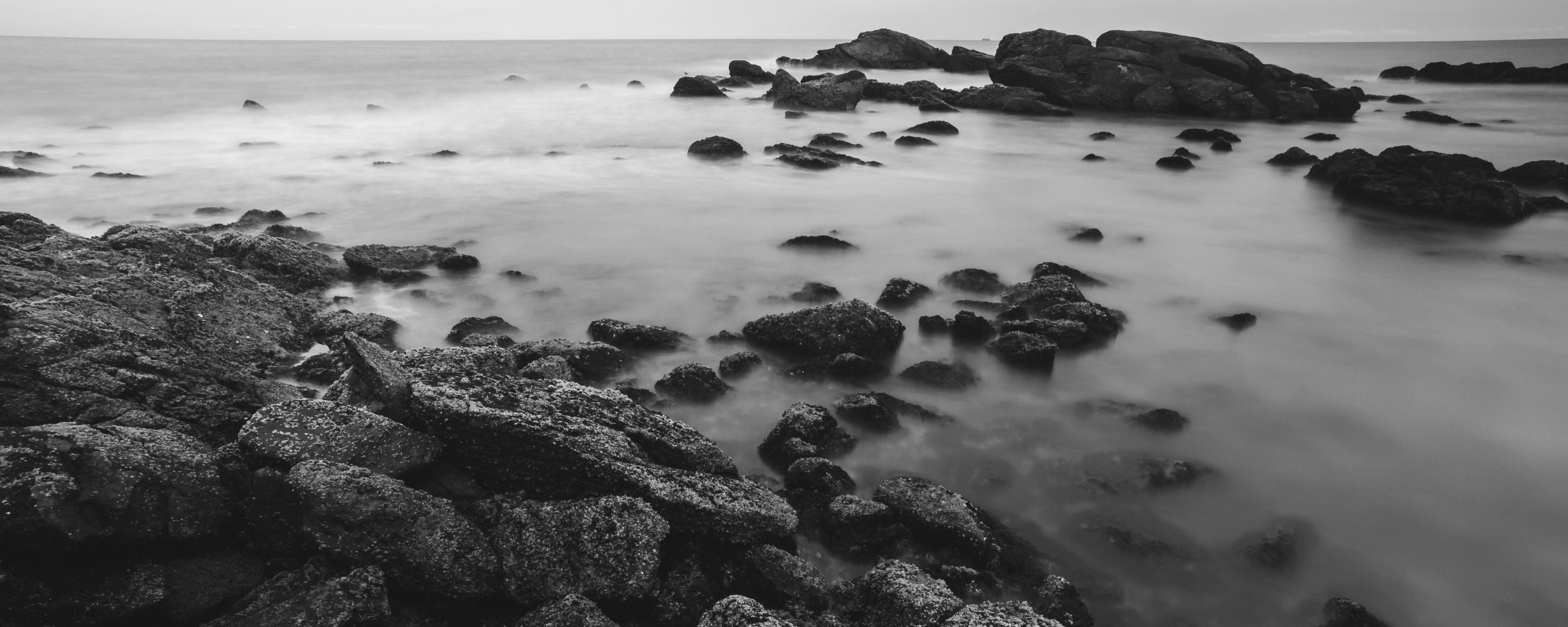 Costa rocosa
