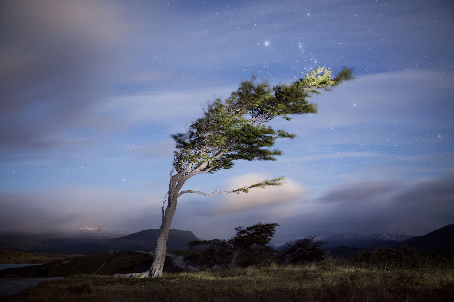 La caricia del viento