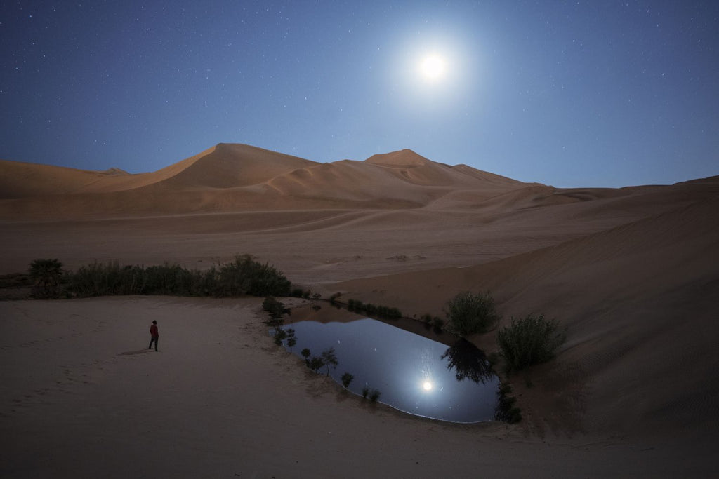 Oasis bajo la luz de la luna