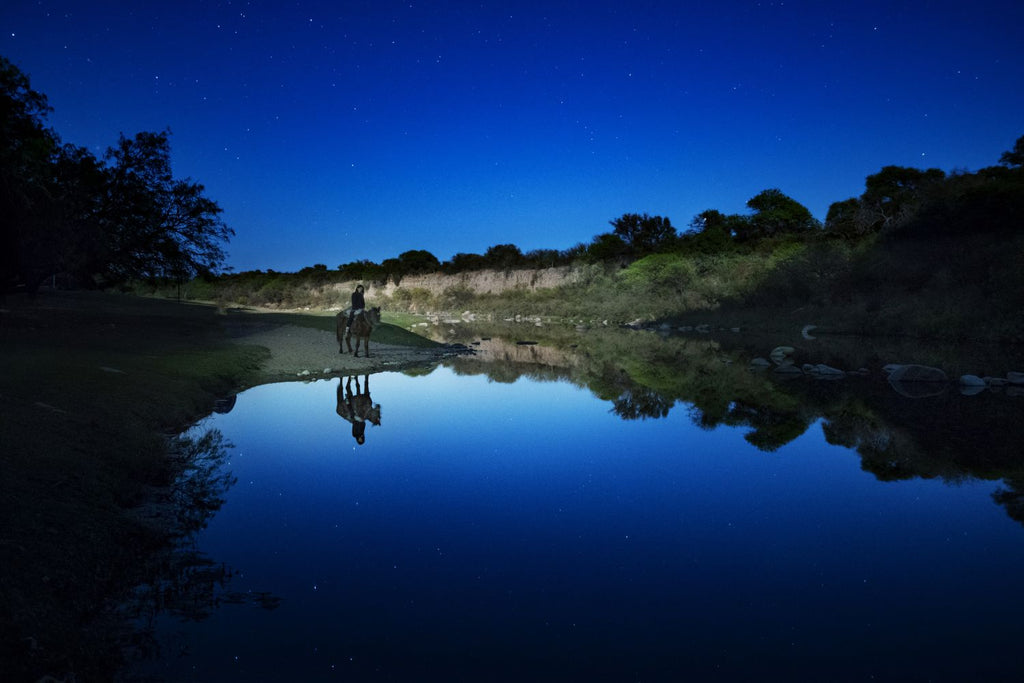 Caballo pastando estrellas