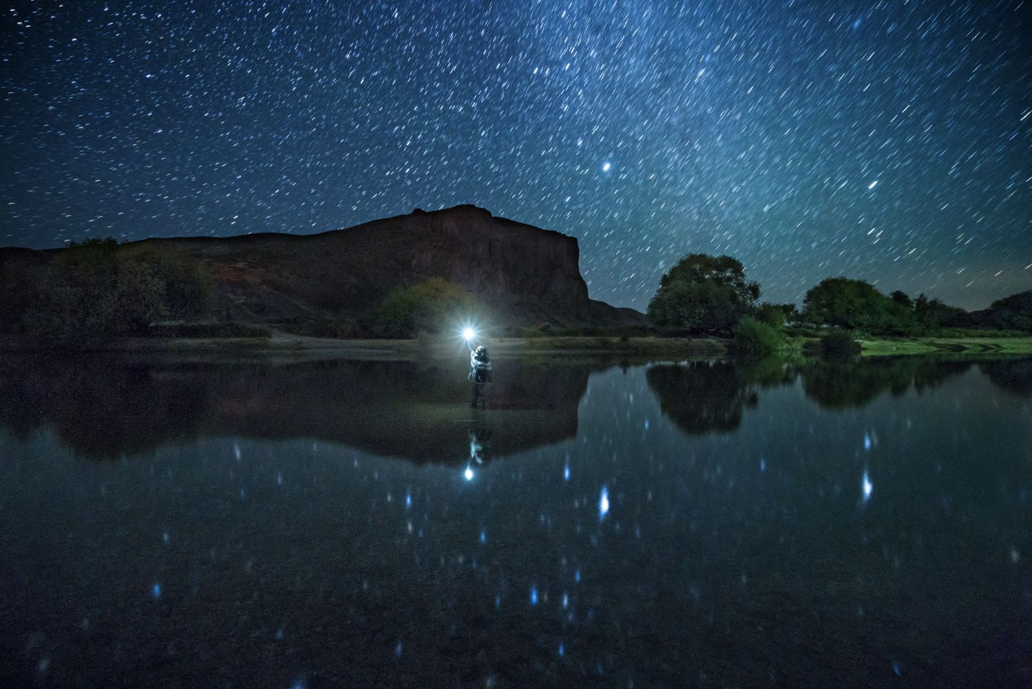 Tomando una estrella