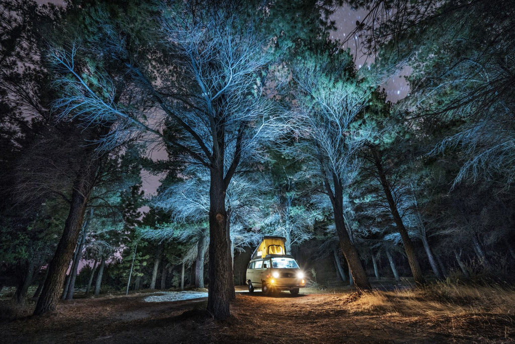 Bosques encantados