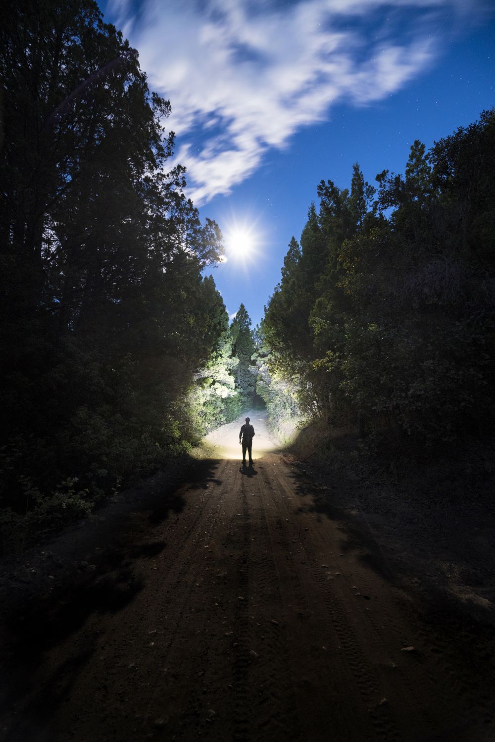 Camino de luna