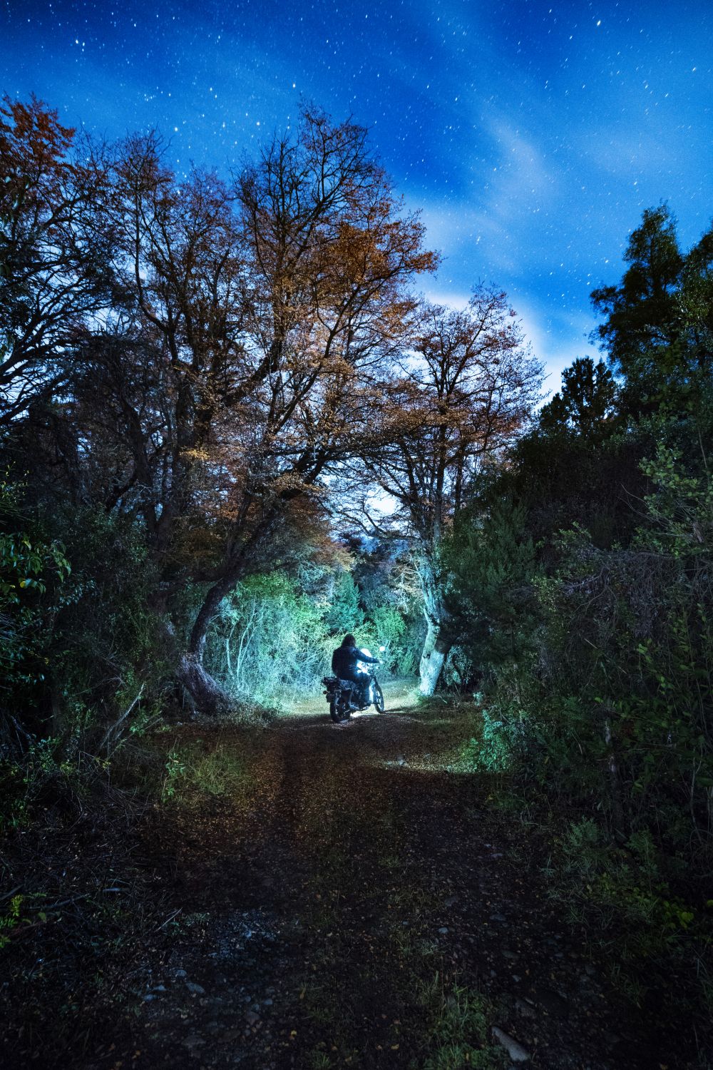 Caminos de Libertad