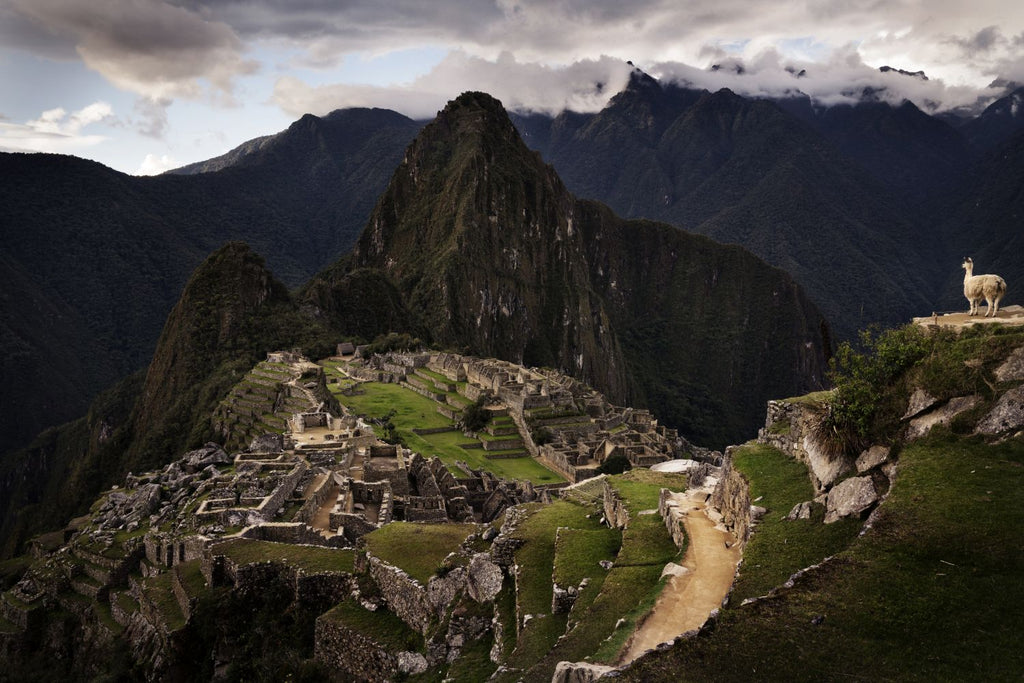 Machu Picchu