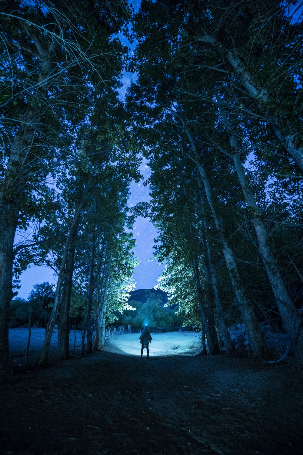 El Portal