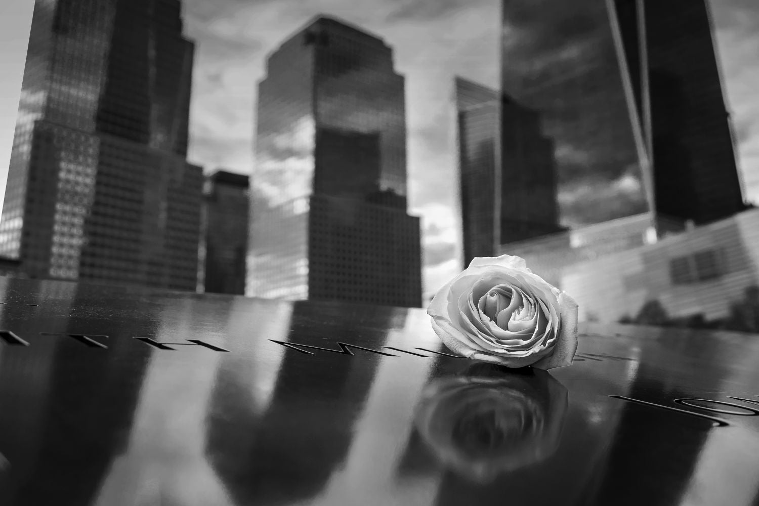 Te dejé una flor