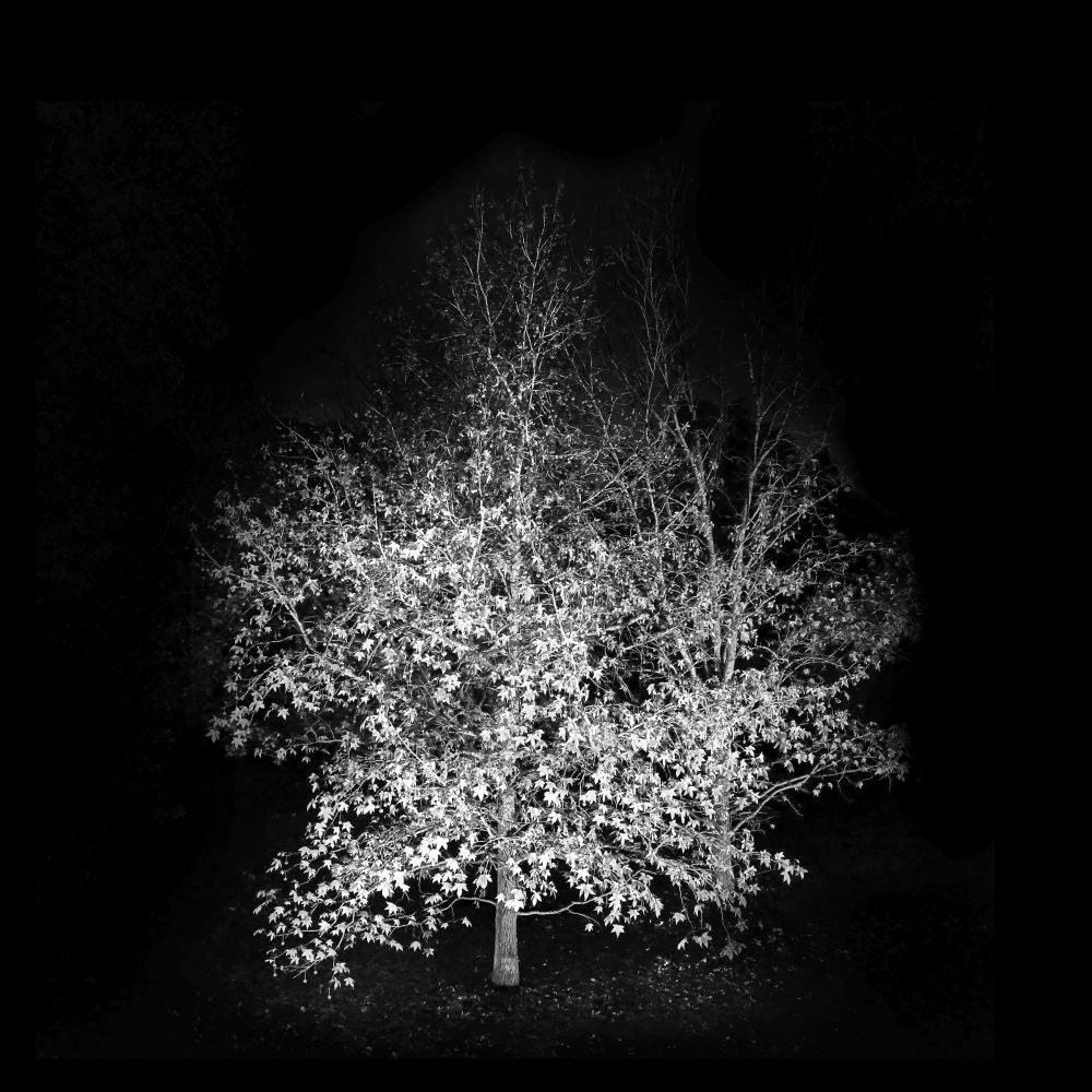 Noche de otoño.