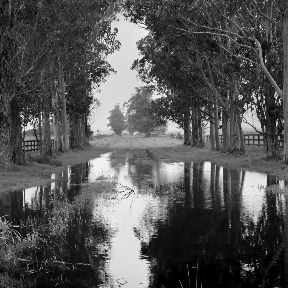 Reflejos del cielo.
