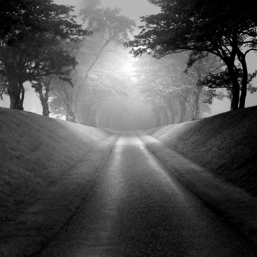 Memorias de un camino.
