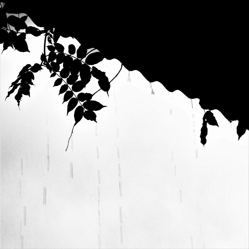 Lluvia en Blanco y Negro - 1