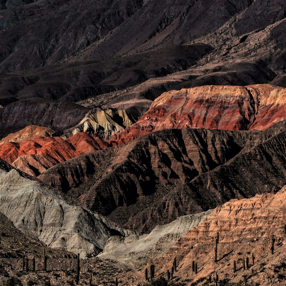 Quebrada del Río Toro - 2
