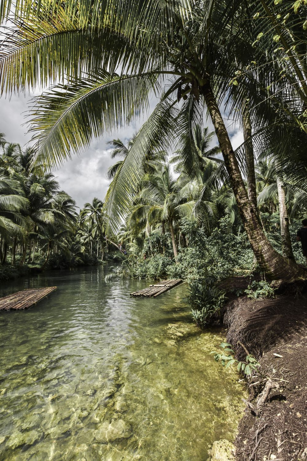 Loboc