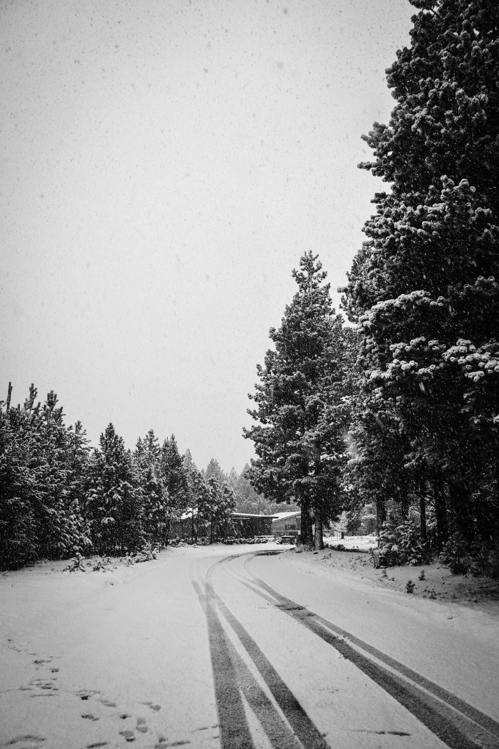 Invierno Patagónico