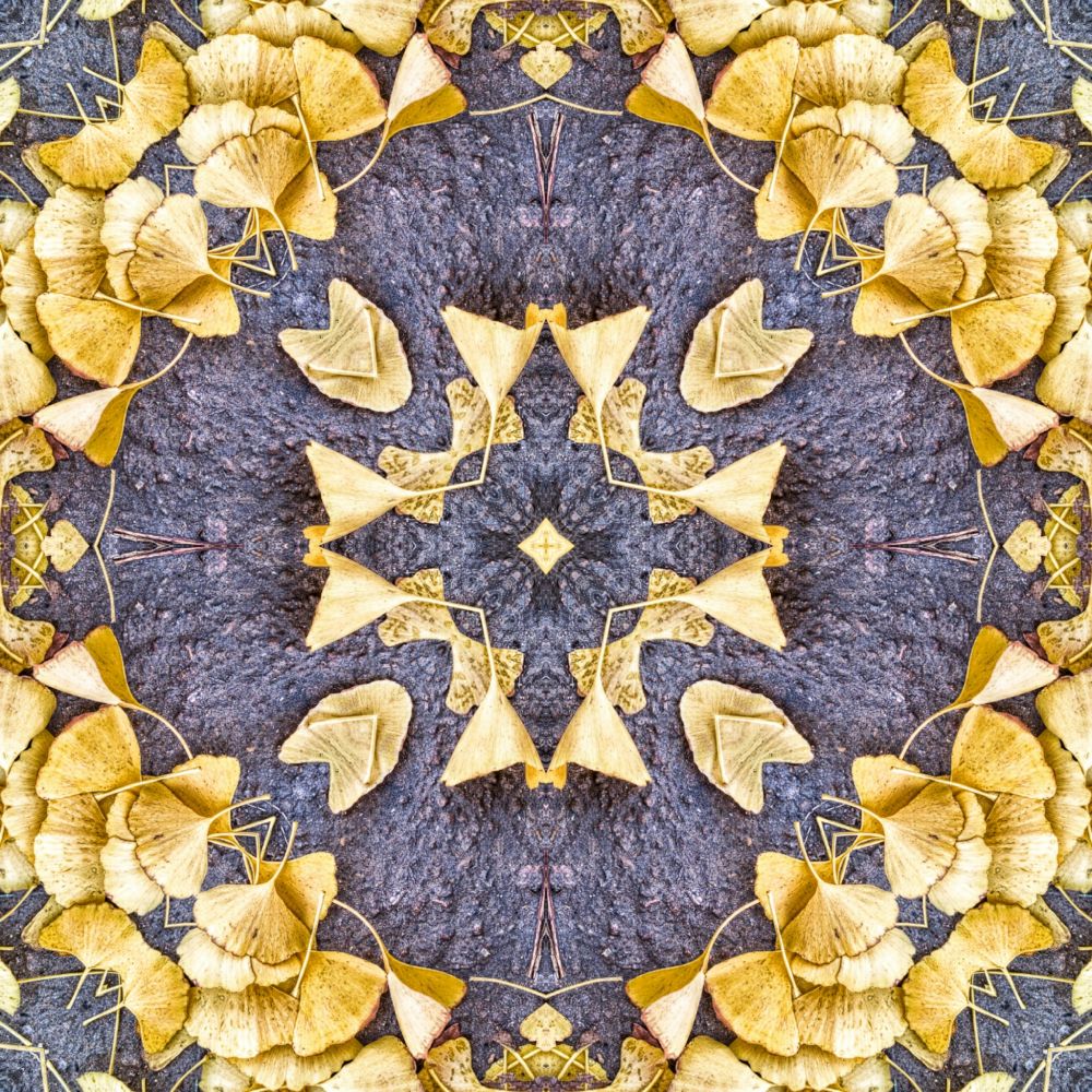 OTOÑAL-GINKO 1