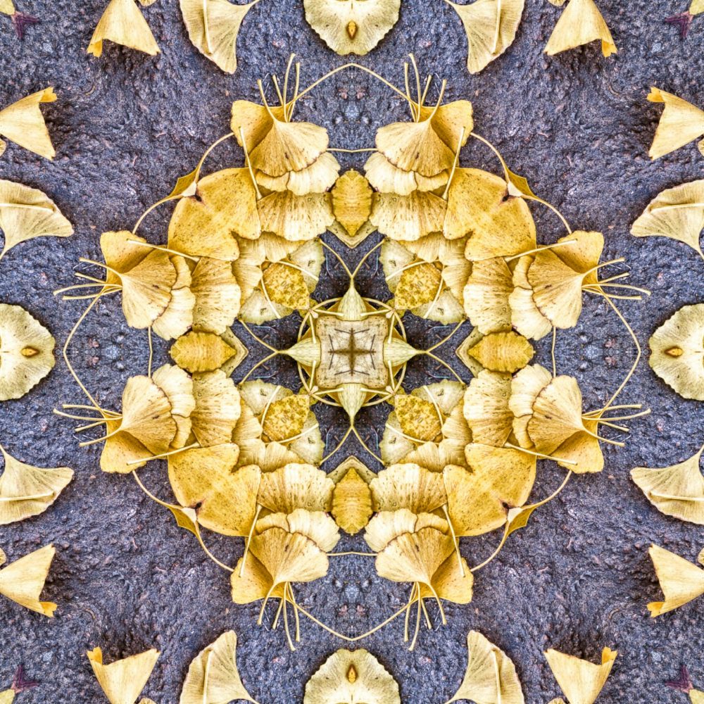 OTOÑAL-GINKO 2