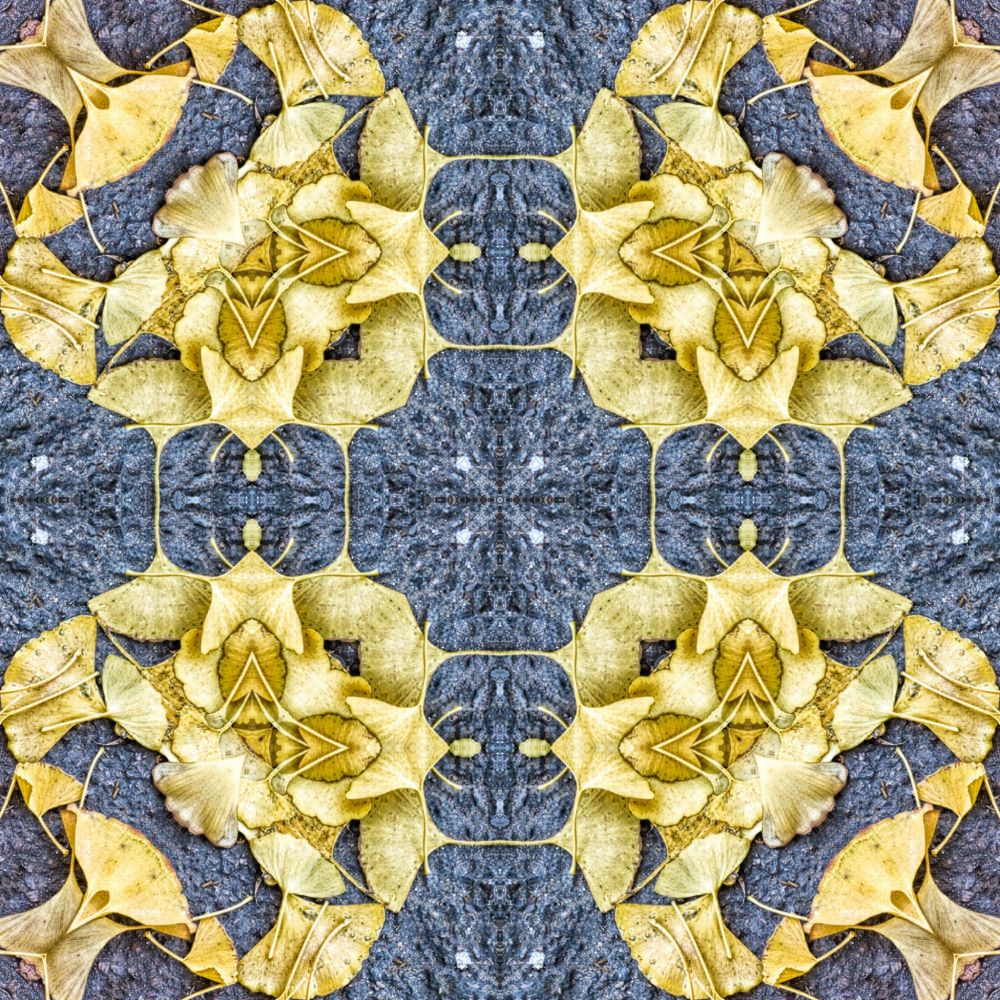 OTOÑAL-GINKO 3