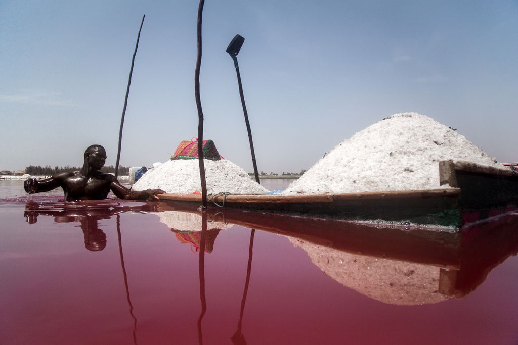 Salar Rosa