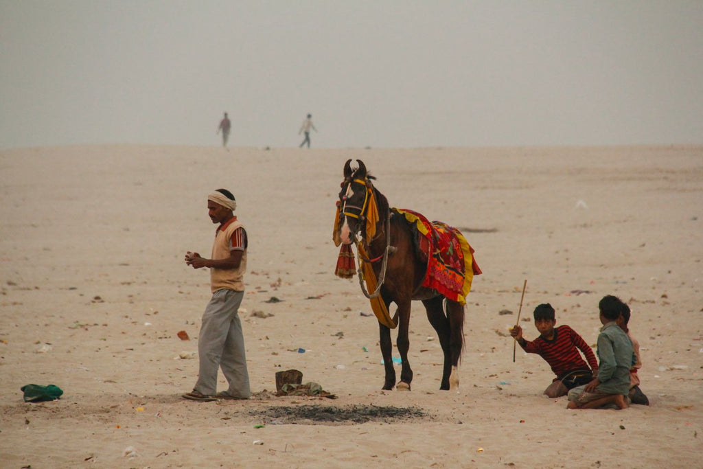 Caballo en Varanasi