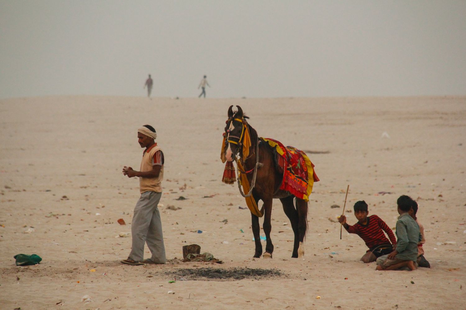 Caballo en Varanasi