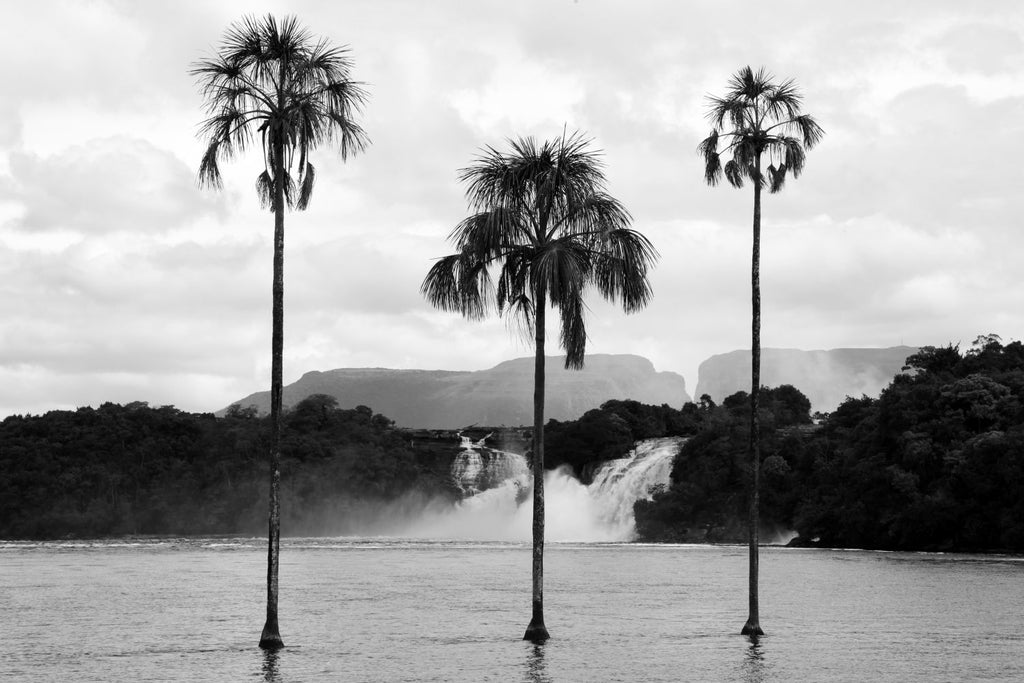CANAIMA