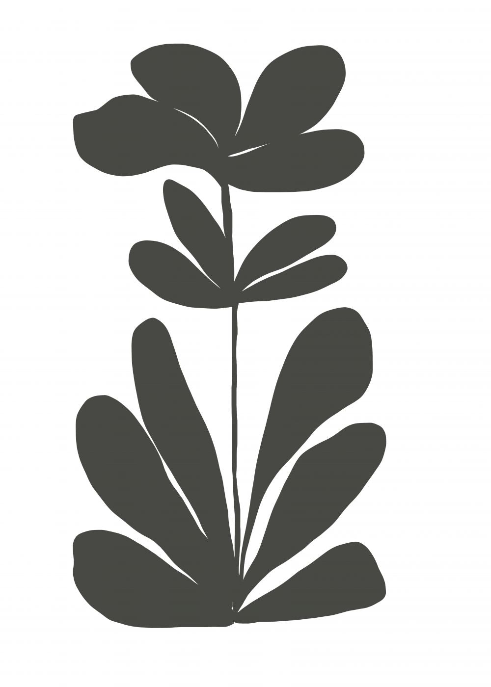 LA FLEUR NOIR